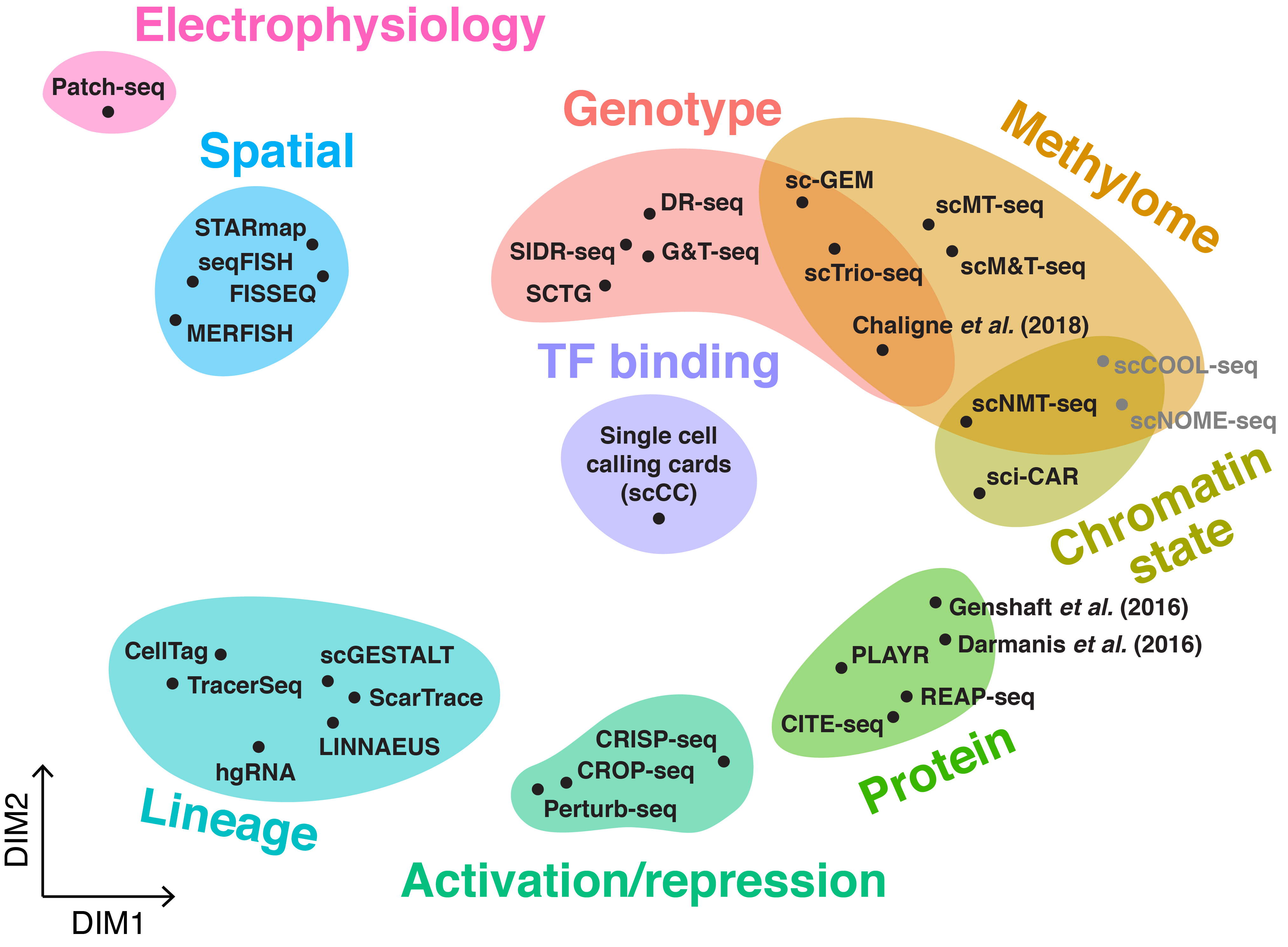 The range of multimodal scRNA-seq technologies. Many protocols have been developed to enable multiple measurements from the same individual cells with a selection shown here. These other measurements (shaded colours) include genotype (rose bud), methylation (cornsilk), chromatin state (muted lime), transcription factor binding (periwinkle), protein expression (jade lime), activation or repression (cabbage), lineage tracing (aquamarine blue), spatial location (light sky blue) or electrophysiology (cotton candy). Image from https://github.com/arnavm/multimodal-scRNA-seq available under a Creative Commons Attribution-NonCommercial-ShareAlike 4.0 International (CC BY-NC-SA 4.0) license [46].