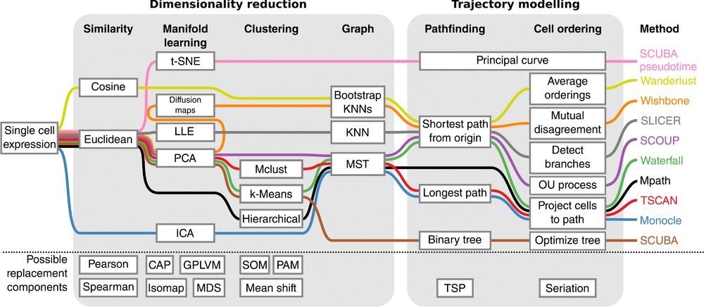 Trajectory inference framework as described by Cannoodt, Saelens and Saeys. In the first stage, dimensionality reduction is used to convert the data to a simpler representation. In the second stage a trajectory is identified and the cells ordered. Image from Cannoodt, Saelens and Saeys “Computational methods for trajectory inference from single-cell transcriptomics” [145].