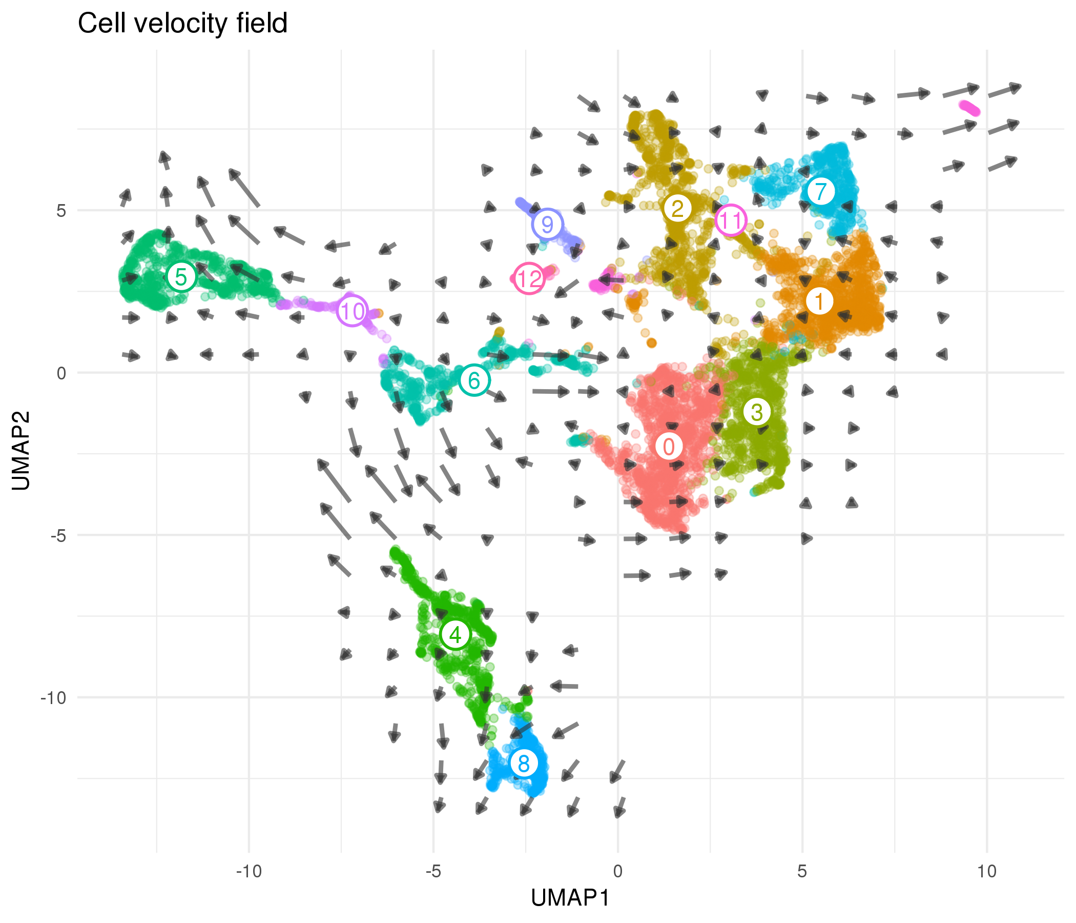 Cell velocity field calculated by velocyto. Points show cells in UMAP space coloured according to cluster. Arrows show the average velocity for cells in each region of a grid, with direction indicating the transcriptional profile cells are headed towards and length giving the rate of change.