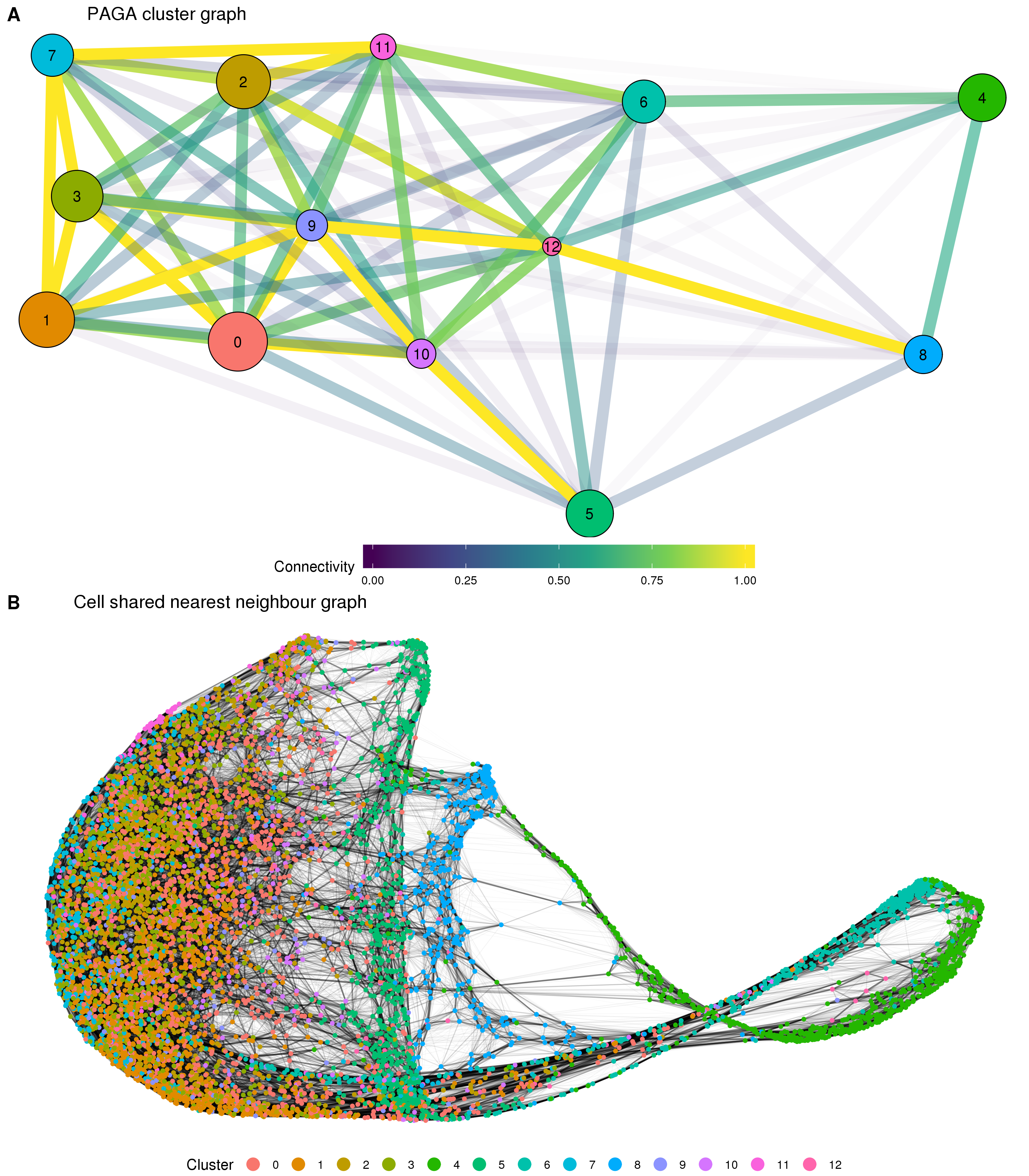 Results of partition-based graph abstraction (PAGA). (A) The cluster connectivity graph produced by PAGA. Each node represents a cluster and edges show the connectivity between clusters. The size of nodes indicates the number of cells in each cluster and the edge colour and transparency show the connectivity from low (blue) to high (yellow). (B). The underlying cell shared nearest neighbour graph. Nodes are cells coloured by cluster and edge weight indicates connectivity.